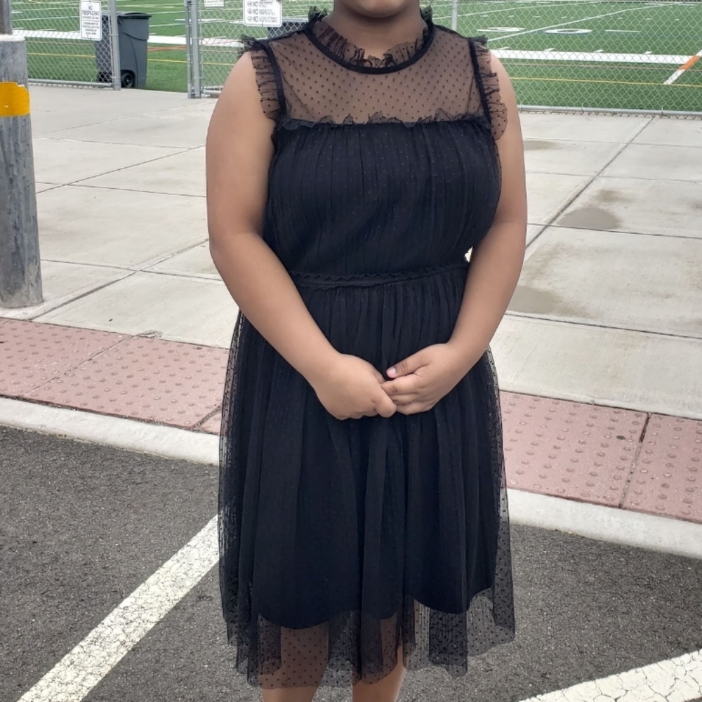 Cute Polka Dot & Ruffle detail Lined Black Dress - Picture 4 of 5